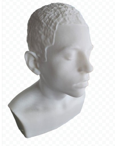 Bustes, Statues, Figurines personnalisées à partir de photos ou de Scan 3D